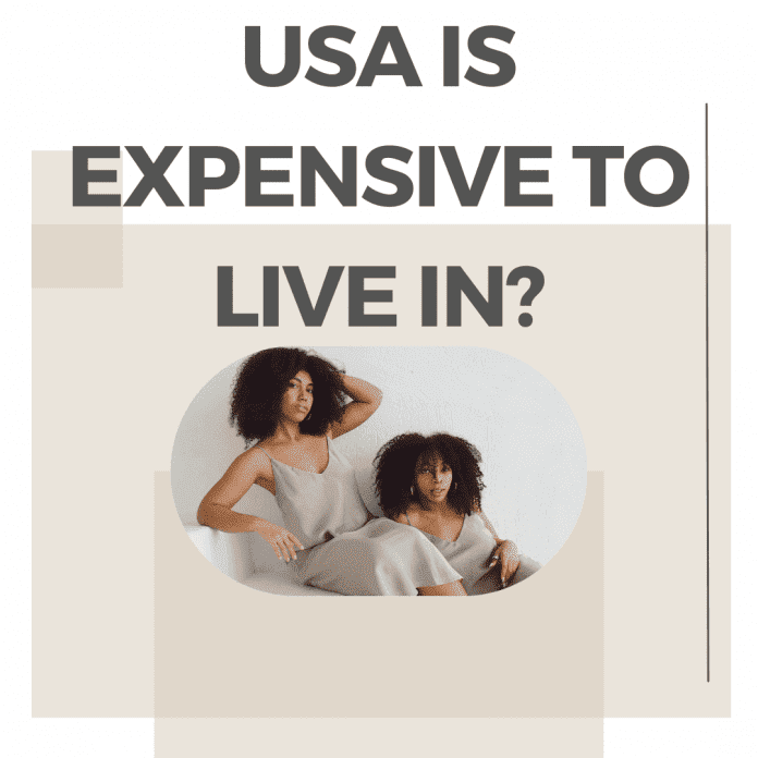 USA Is Expensive To Live in?